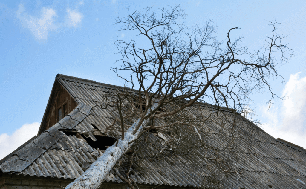 The Hidden Dangers of Tree Damage To Your Roof -Kimberlin Family Roofing