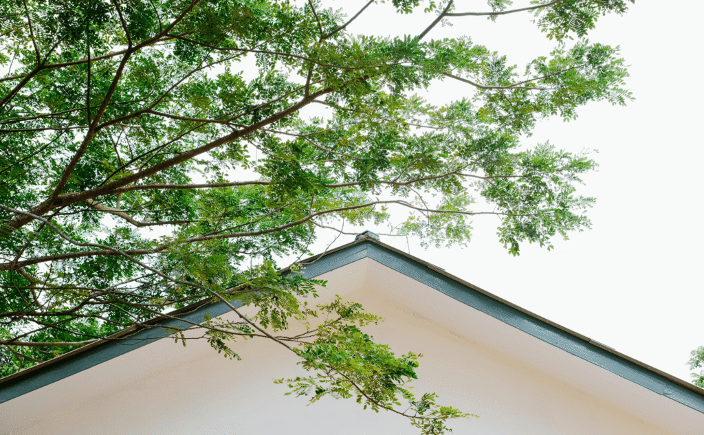 The Hidden Dangers of Tree Damage To Your Roof -Kimberlin Family Roofing